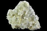 Plate Of Gemmy, Chisel Tipped Barite Crystals - Mexico #84429-1